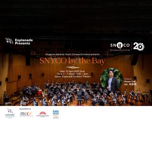 snyco-by-the-bay