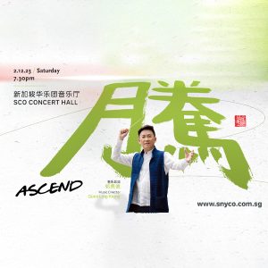 snyco20-ascend