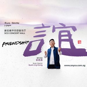 snyco20-friendship