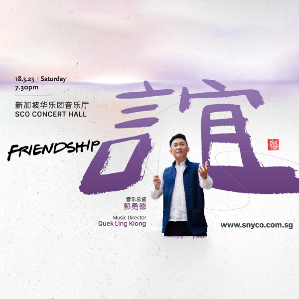 snyco20-friendship